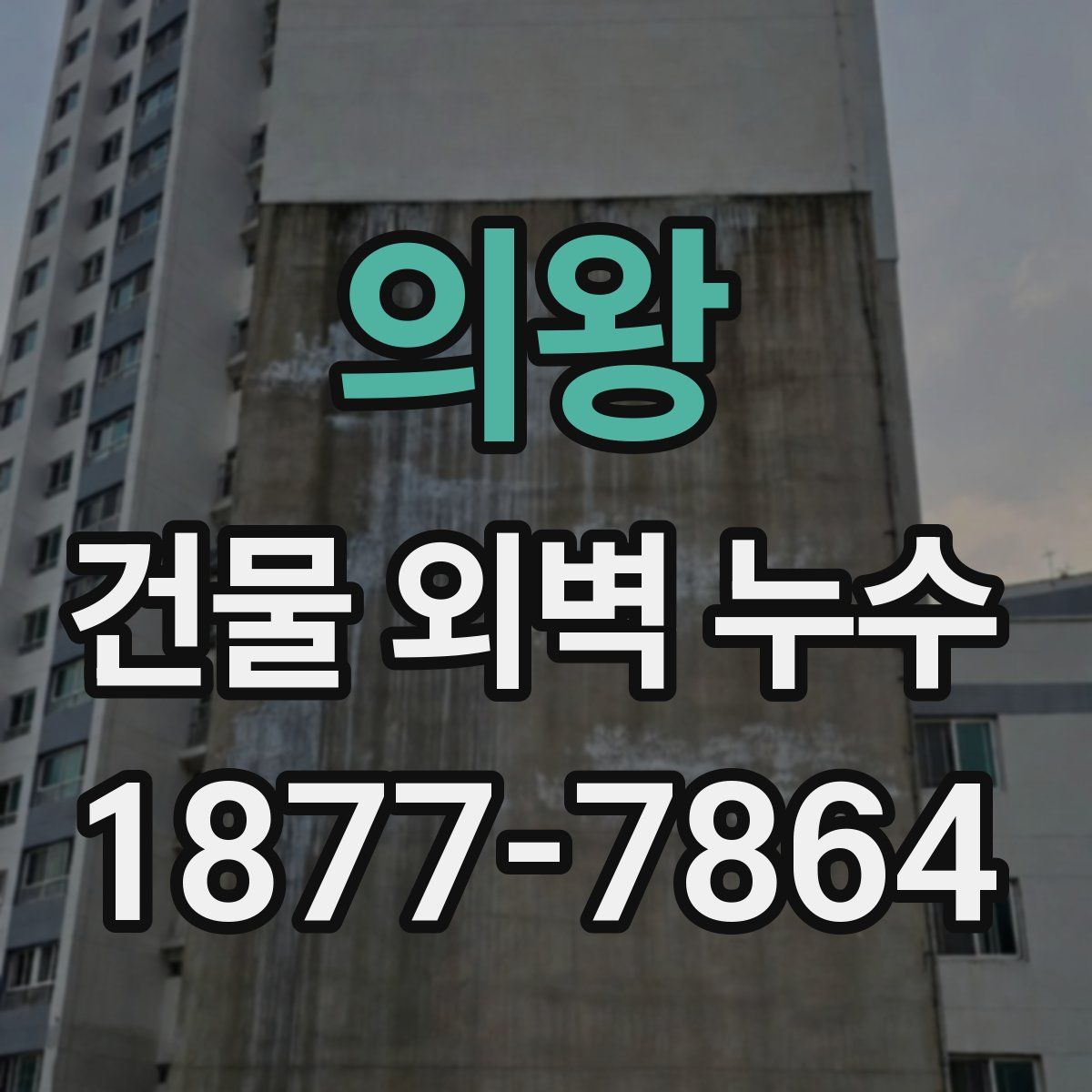 의왕 건물 외벽 누수
