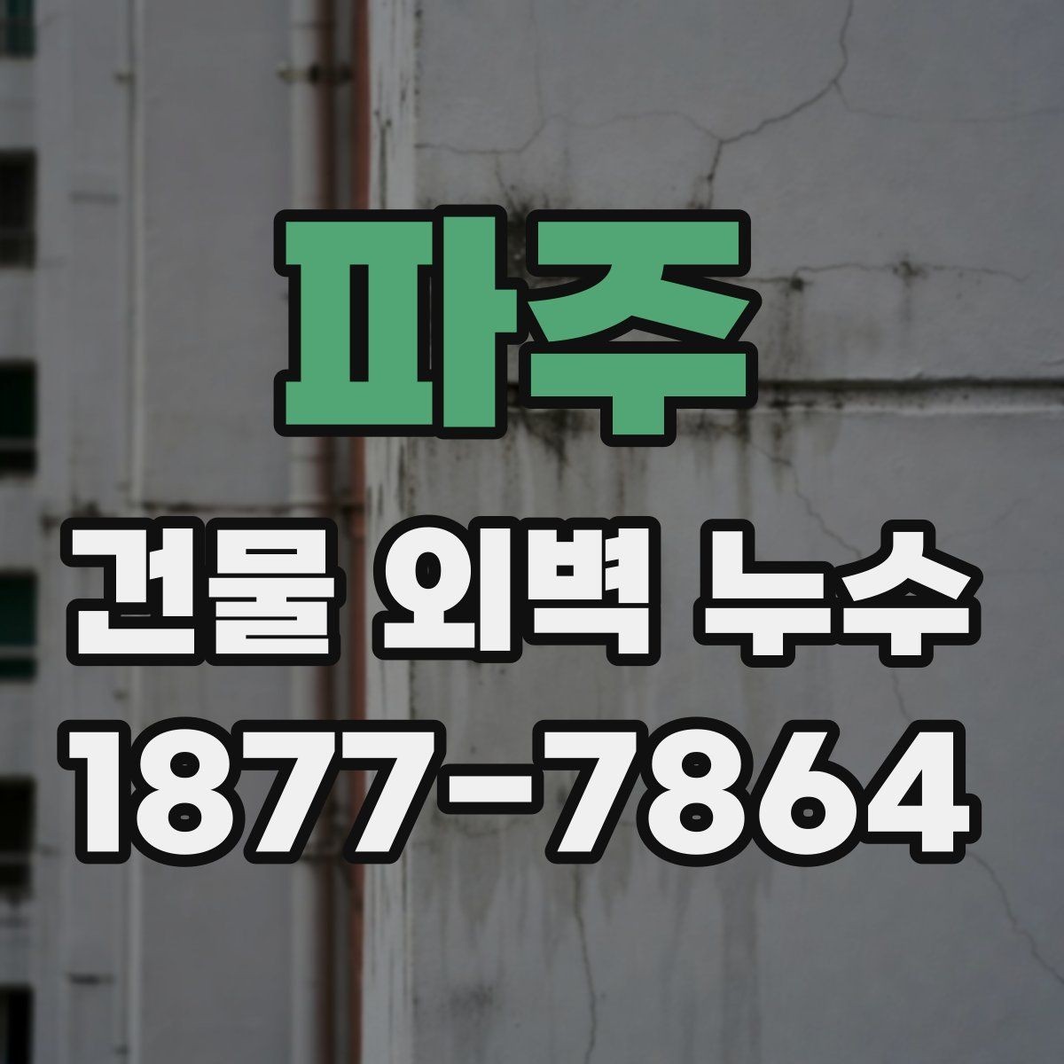 파주 건물 외벽 누수 공사 후 확인해야 할 마무리