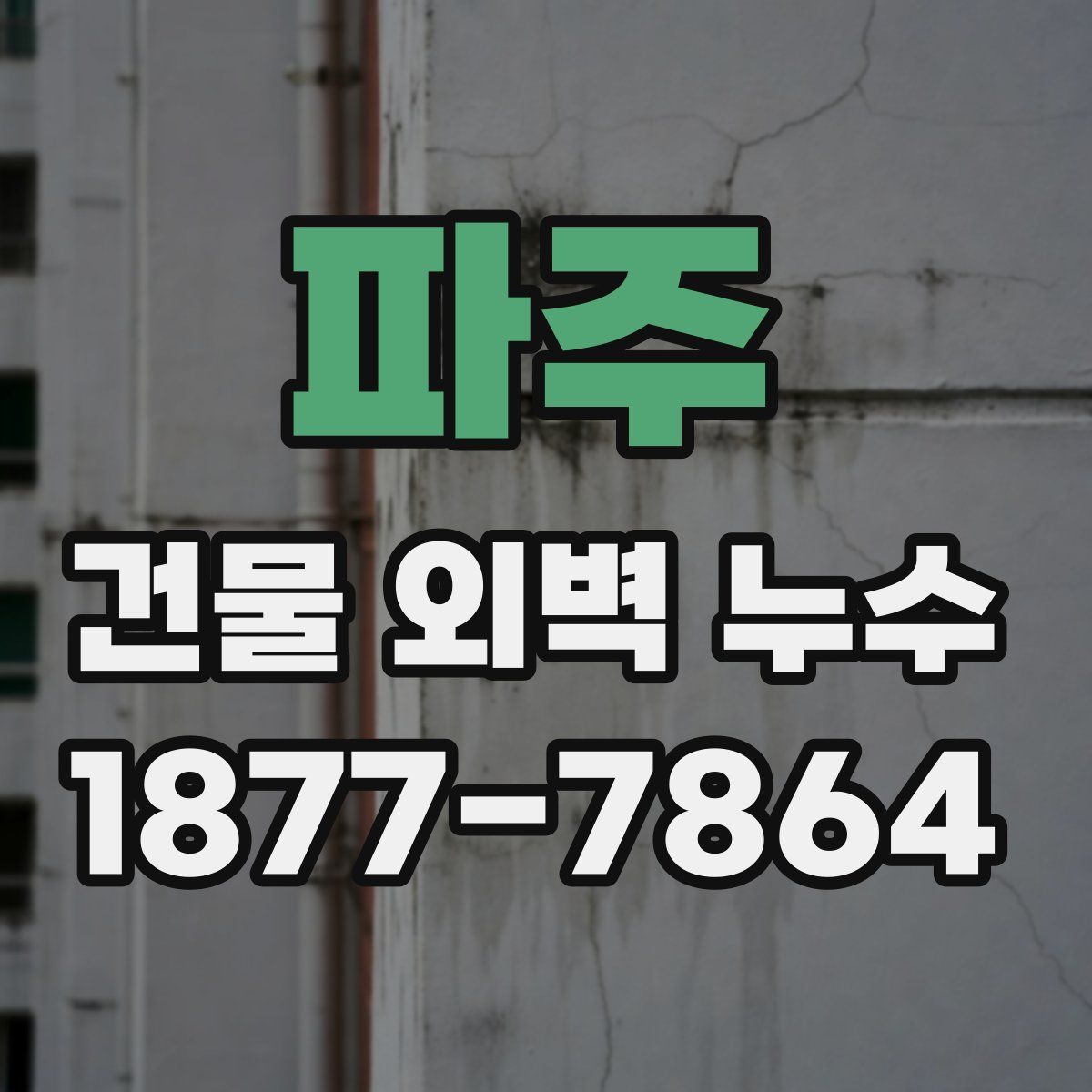 파주 건물 외벽 누수