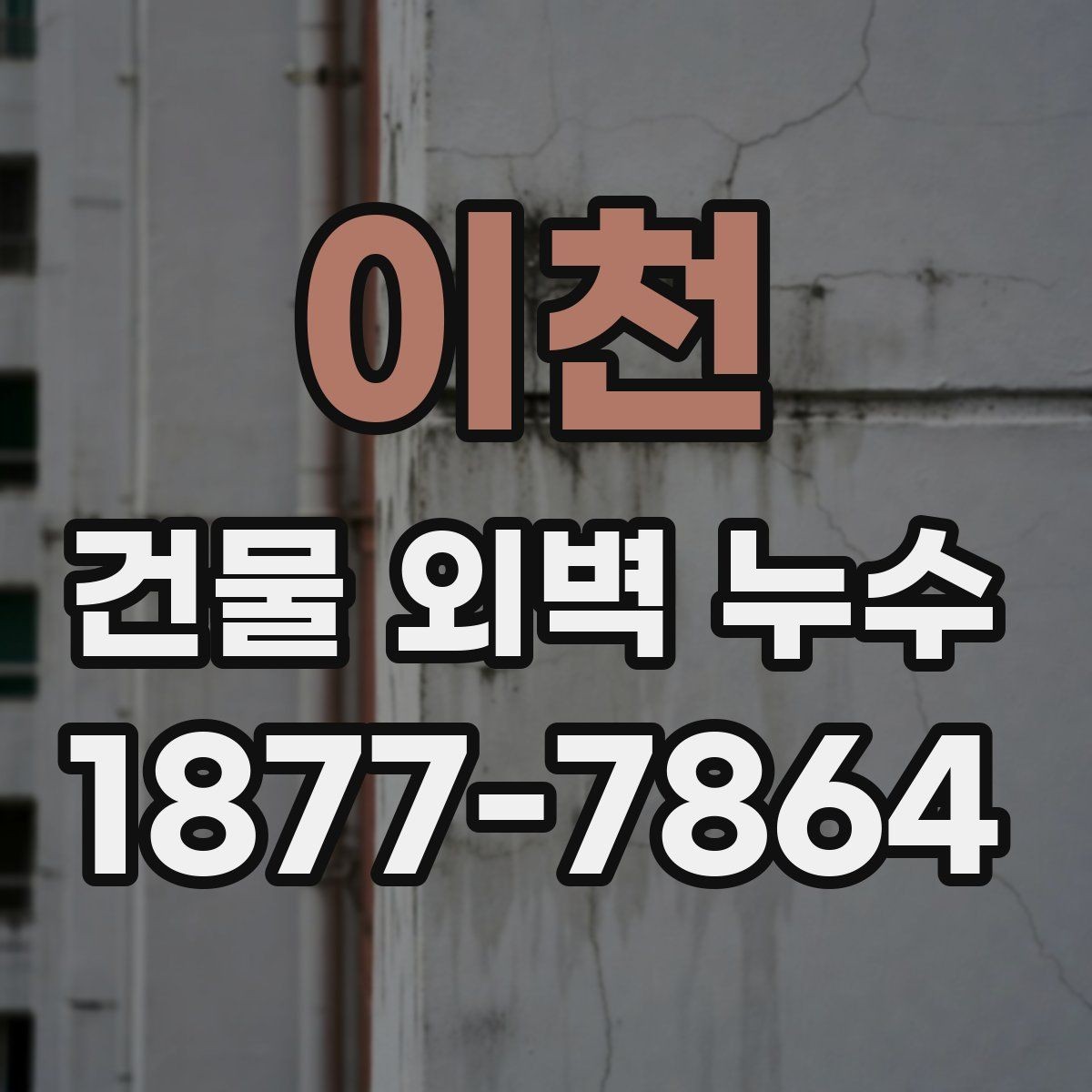 이천 건물 외벽 누수 진단 후 공사 범위 정하는 법