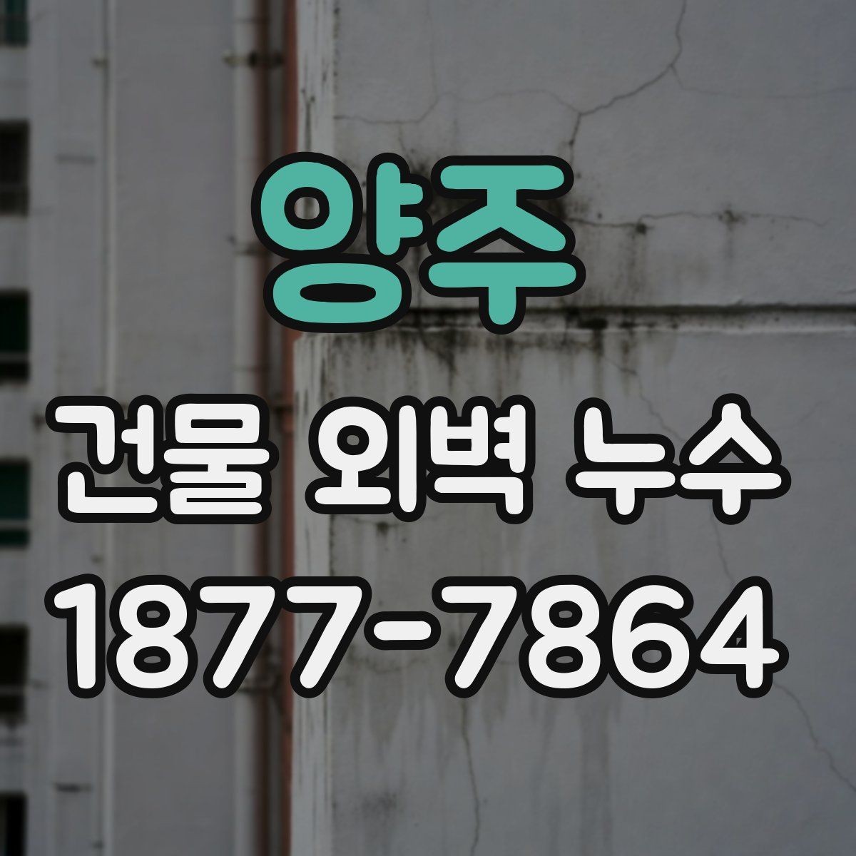 양주 건물 외벽 누수 진단 결과를 해석하는 방법