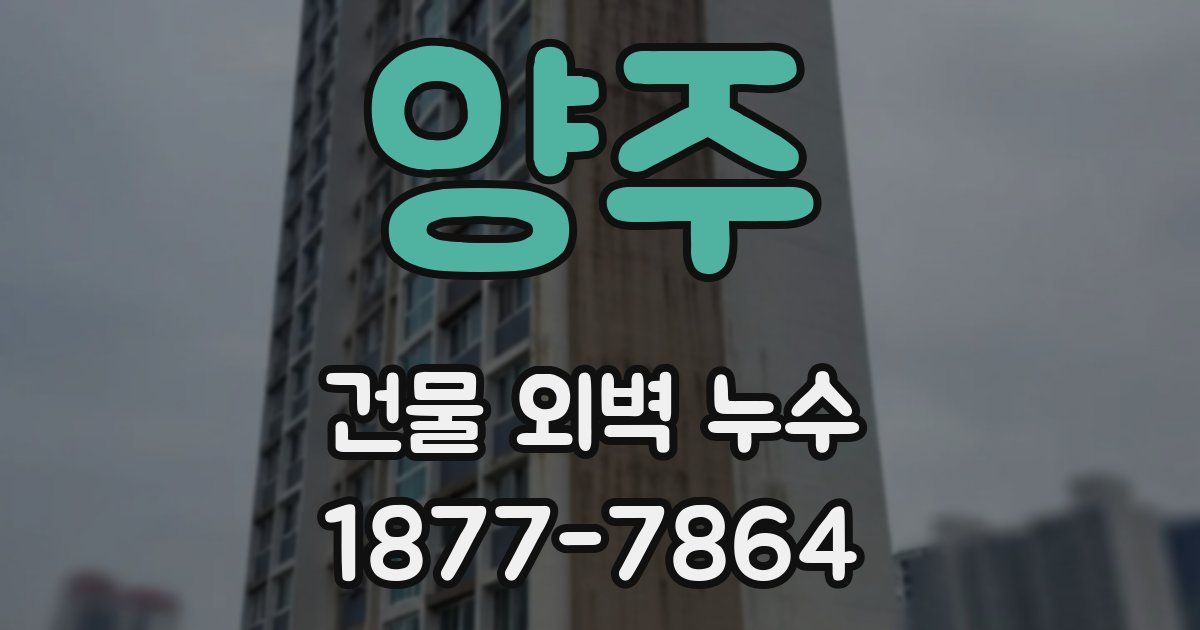 양주 건물 외벽 누수