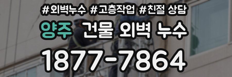 양주 건물 외벽 누수