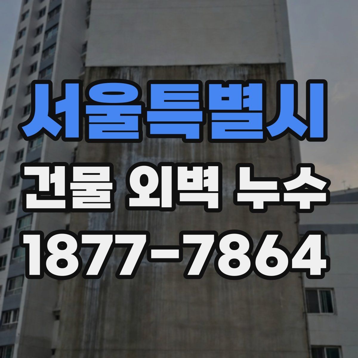 서울특별시 건물 외벽 누수 보수 후 재점검이 필요한 이유