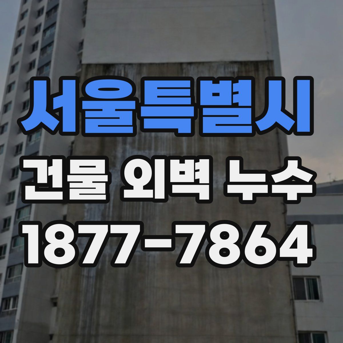 서울특별시 건물 외벽 누수