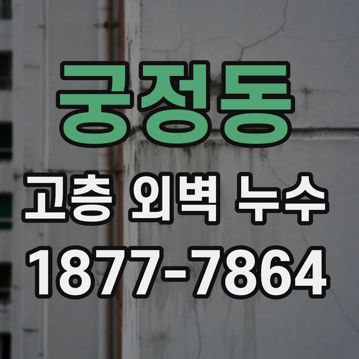 궁정동 고층 외벽 누수