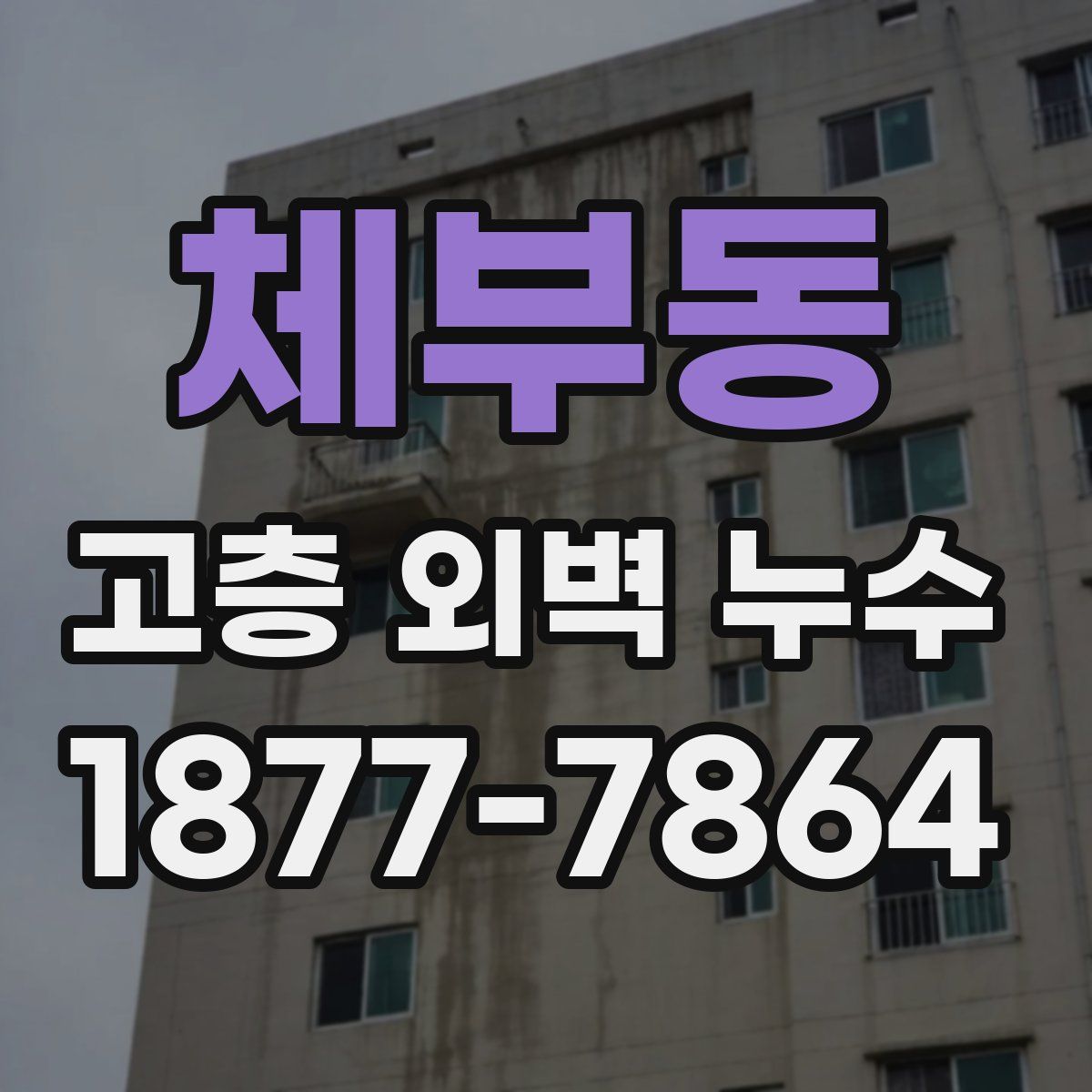체부동 고층 외벽 누수