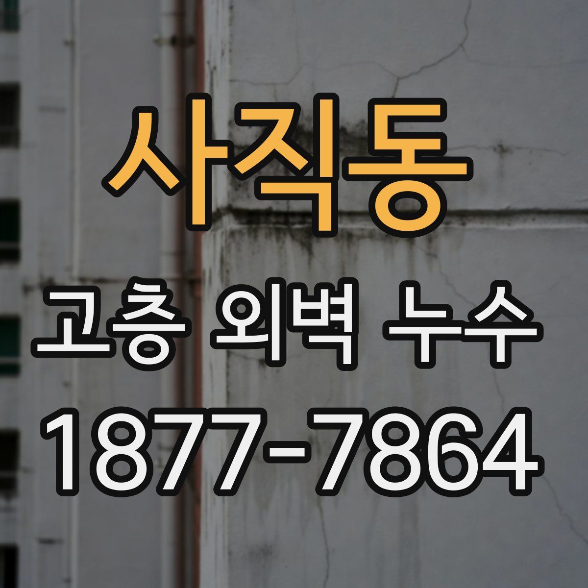 사직동 고층 외벽 누수