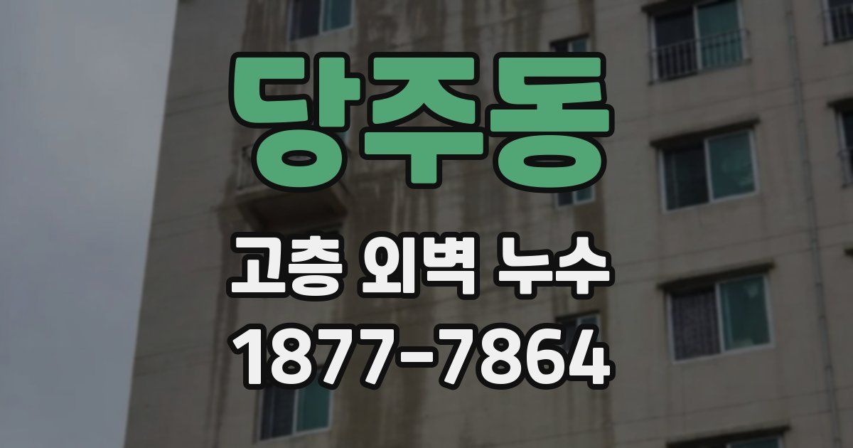 당주동 고층 외벽 누수