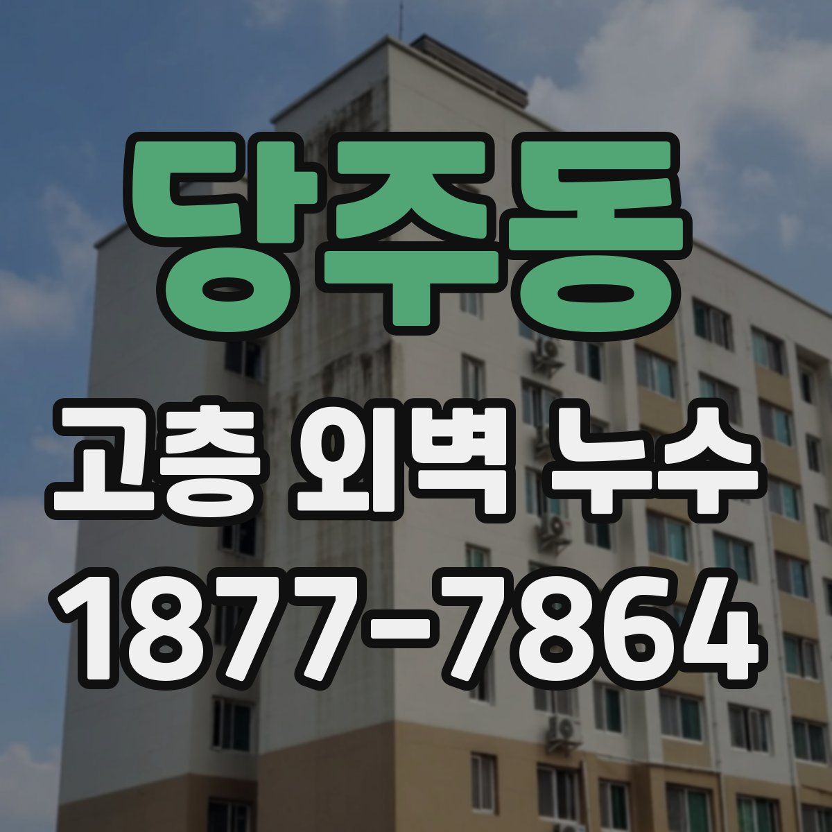 당주동 고층 외벽 누수