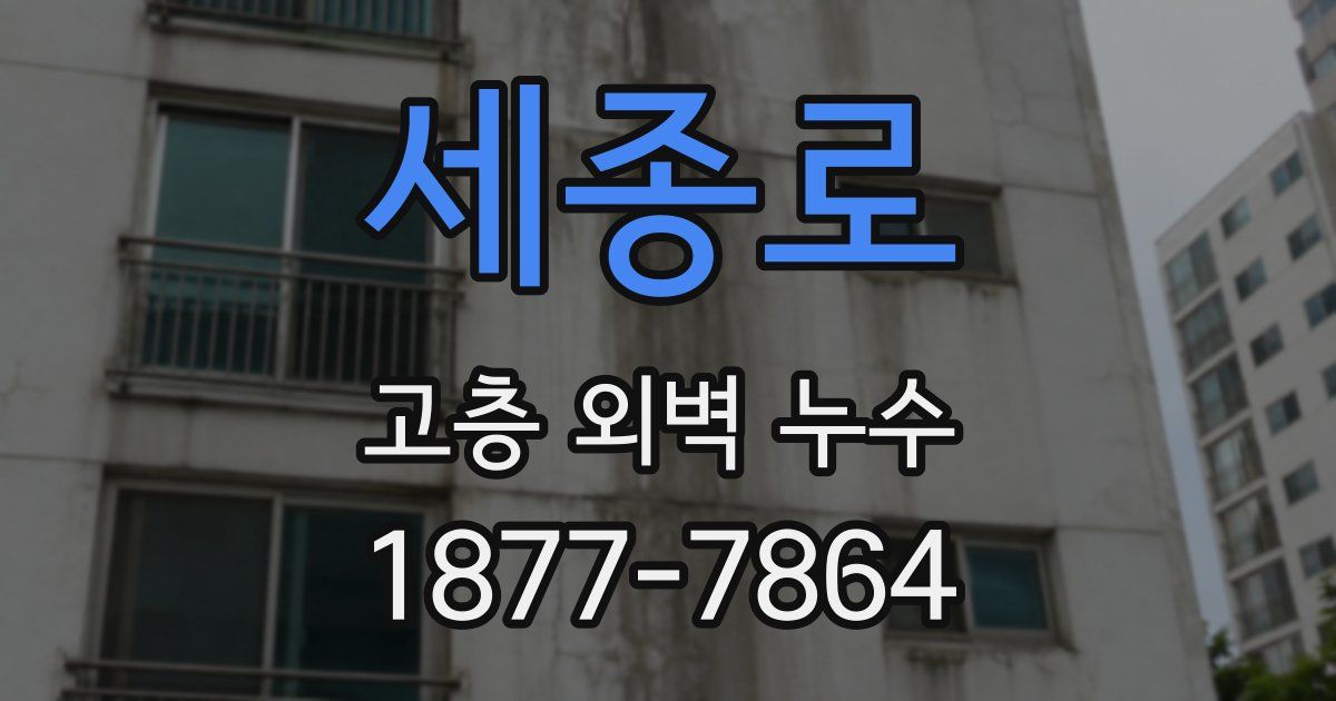 세종로 고층 외벽 누수