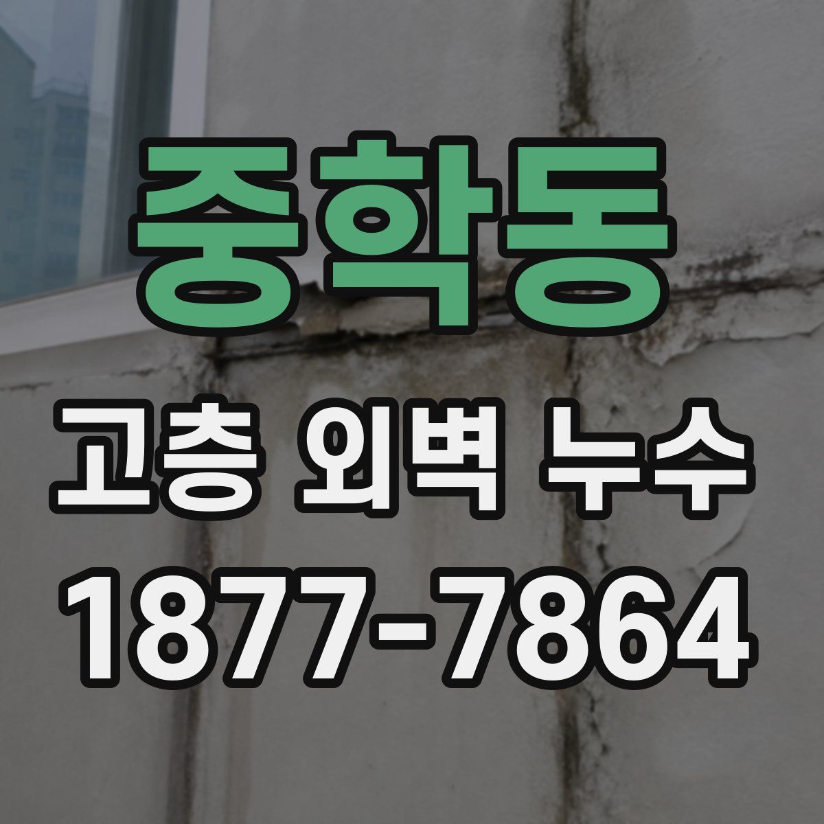 중학동 고층 외벽 누수