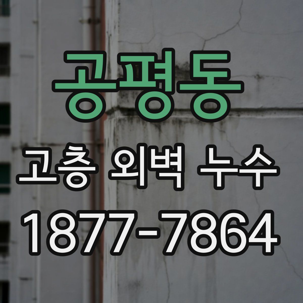 공평동 고층 외벽 누수