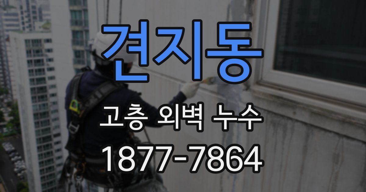 견지동 고층 외벽 누수