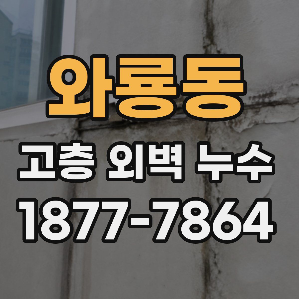 와룡동 고층 외벽 누수
