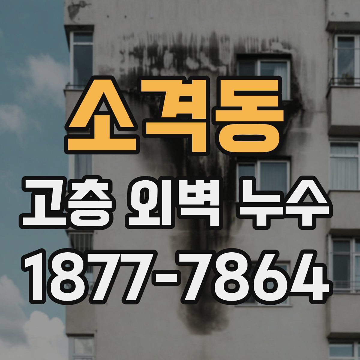 소격동 고층 외벽 누수