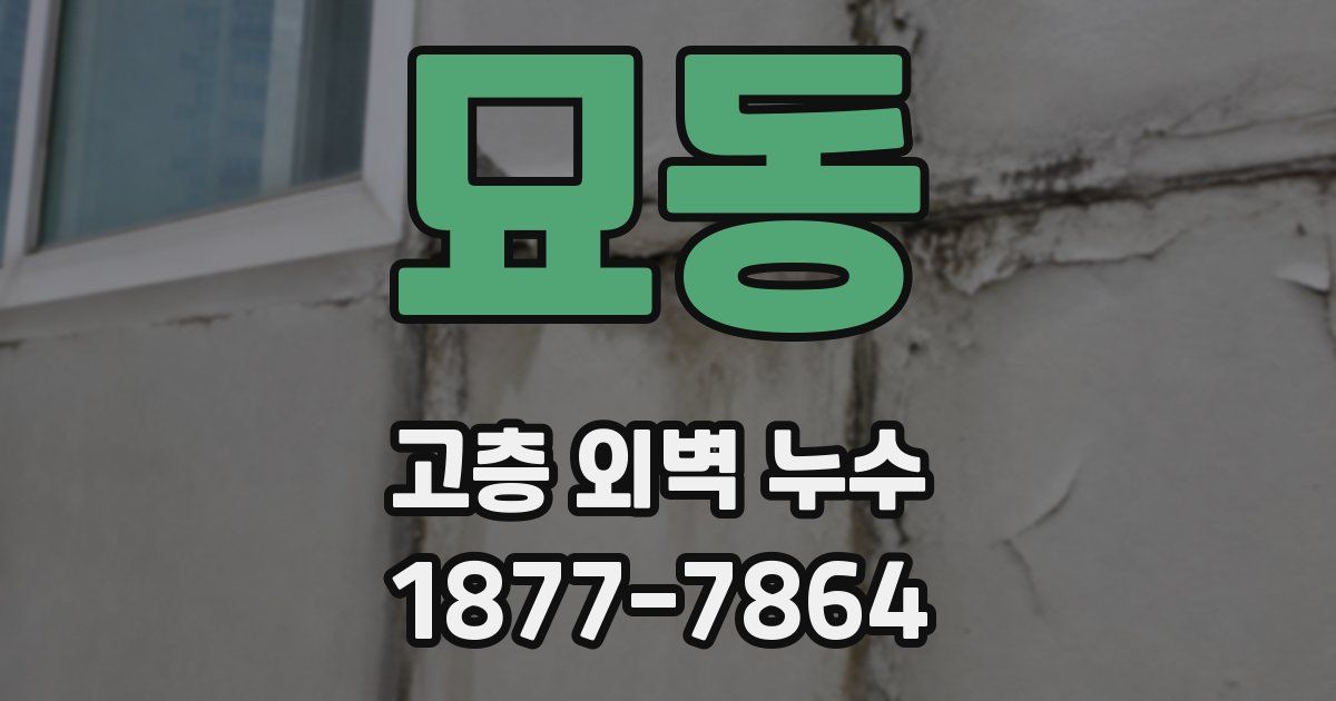 묘동 고층 외벽 누수