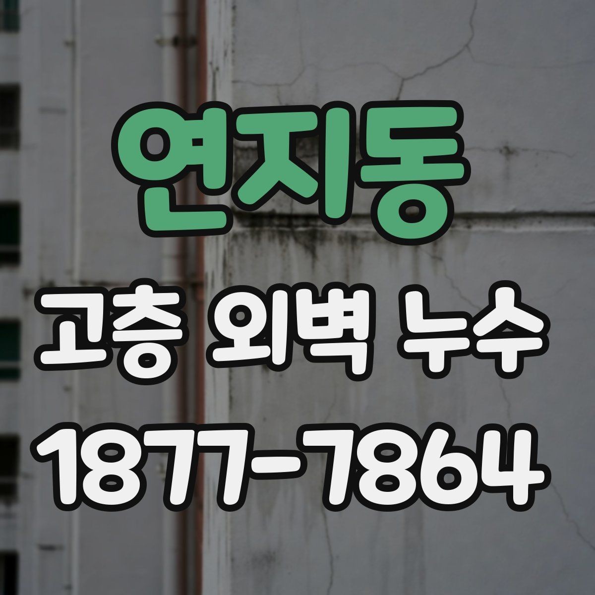 연지동 고층 외벽 누수 건물 외관 변화로 보는 신호