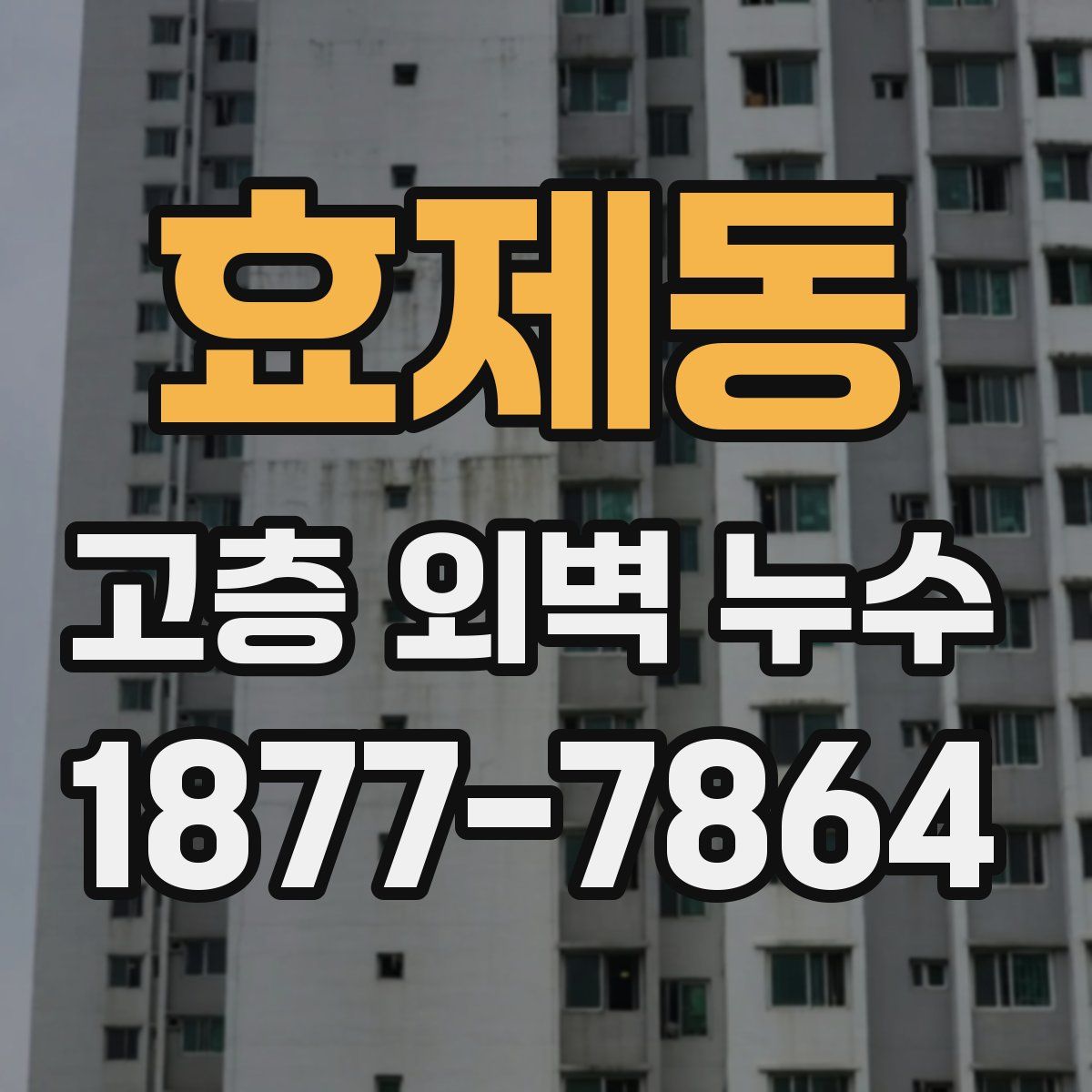 효제동 고층 외벽 누수