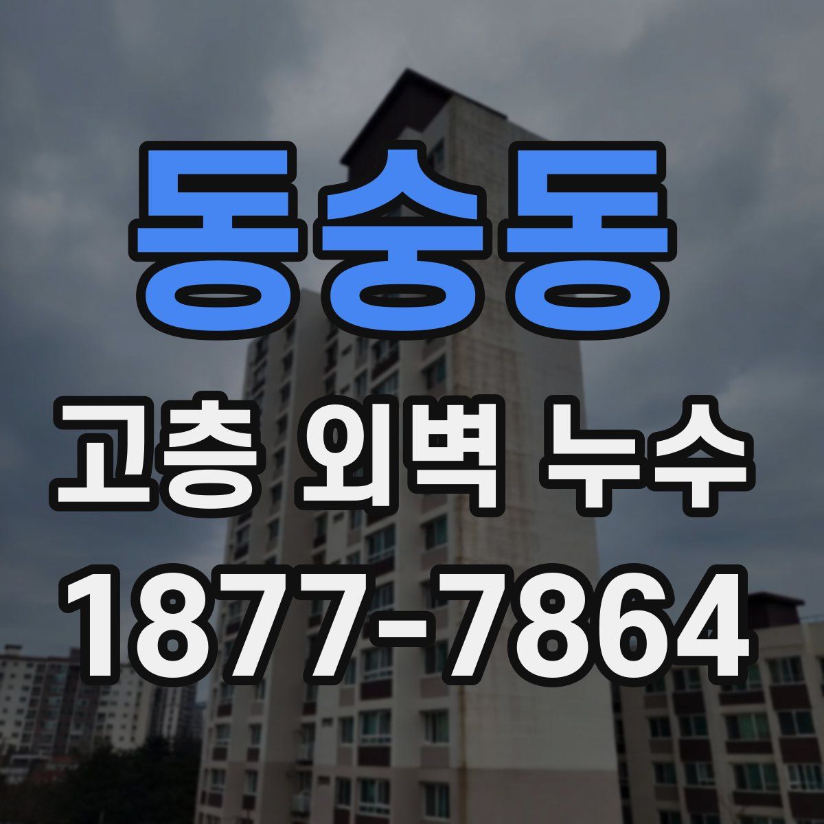 동숭동 고층 외벽 누수