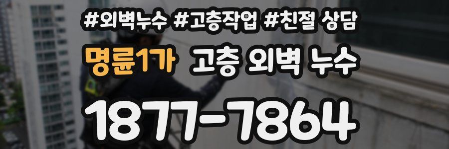 명륜1가 고층 외벽 누수