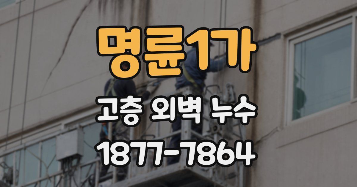 명륜1가 고층 외벽 누수