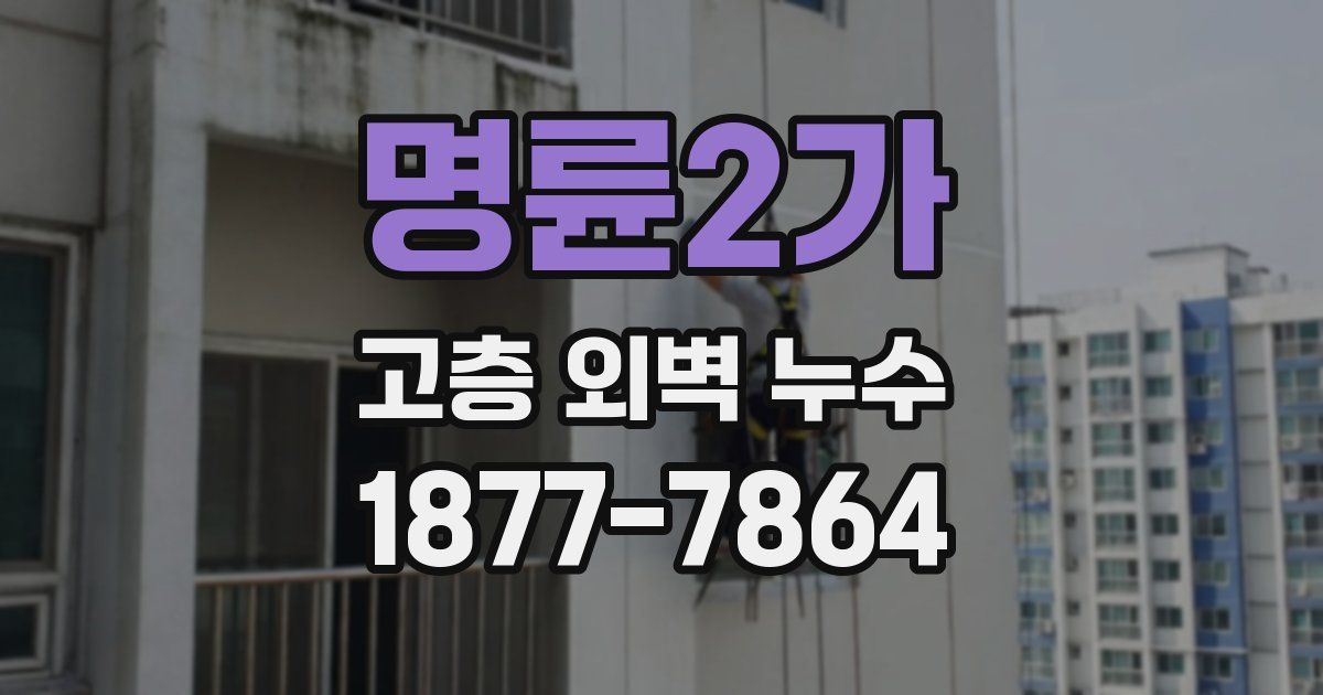 명륜2가 고층 외벽 누수