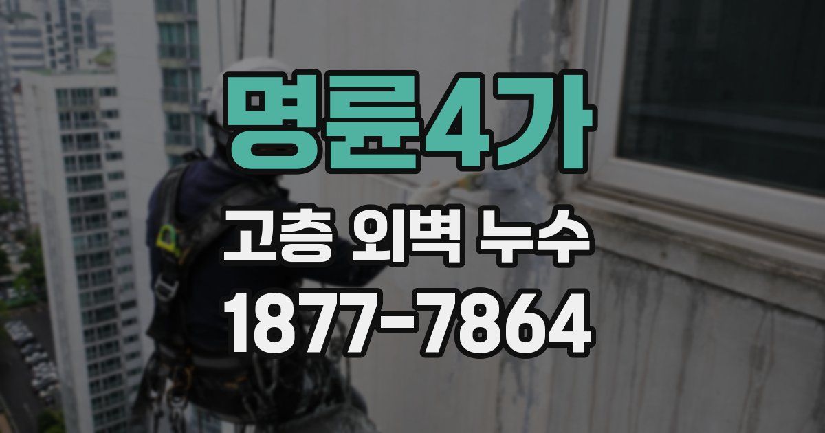 명륜4가 고층 외벽 누수