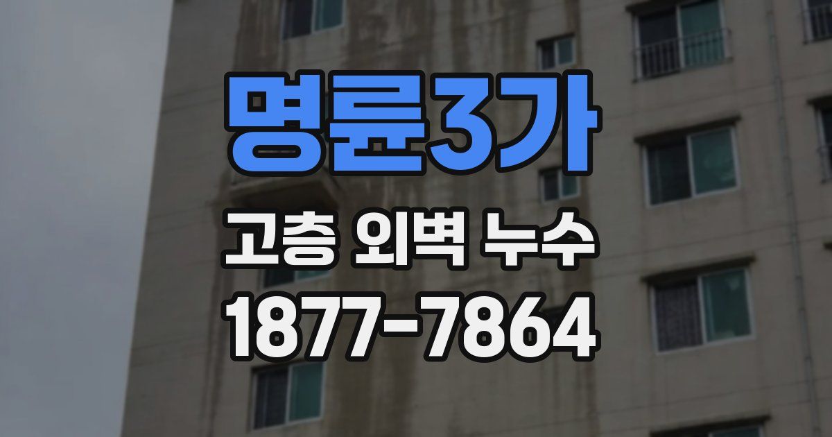 명륜3가 고층 외벽 누수