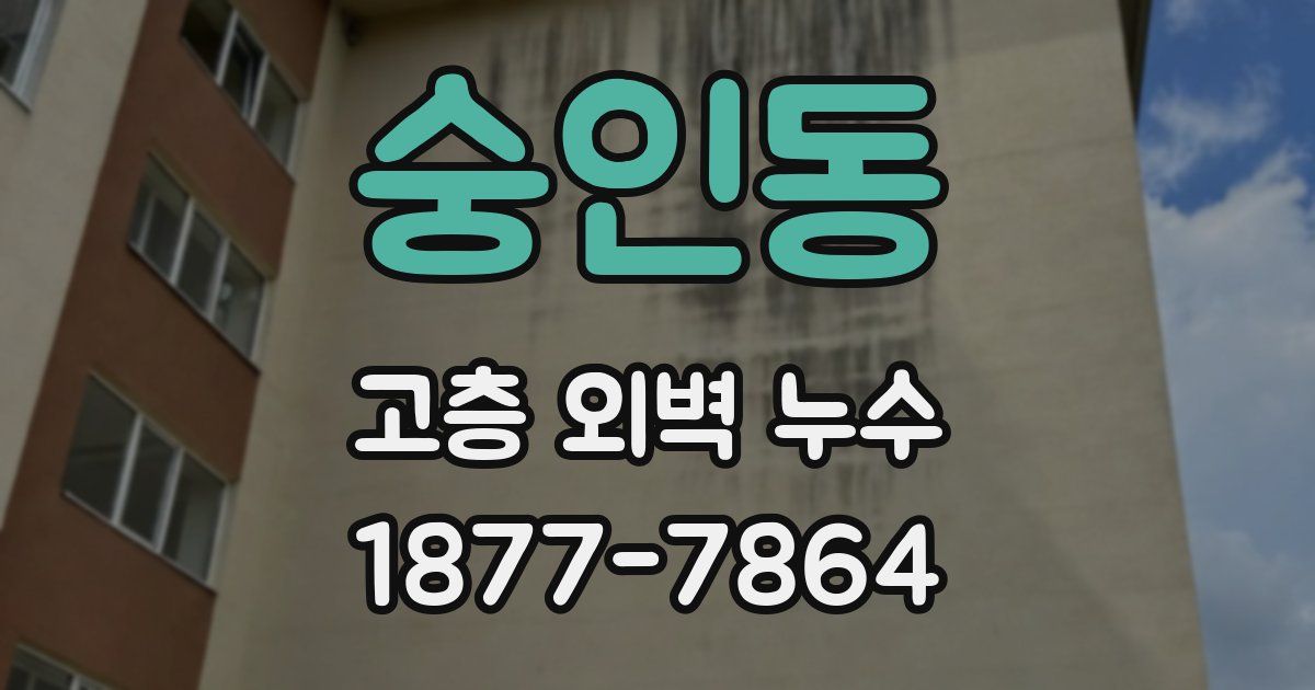 숭인동 고층 외벽 누수