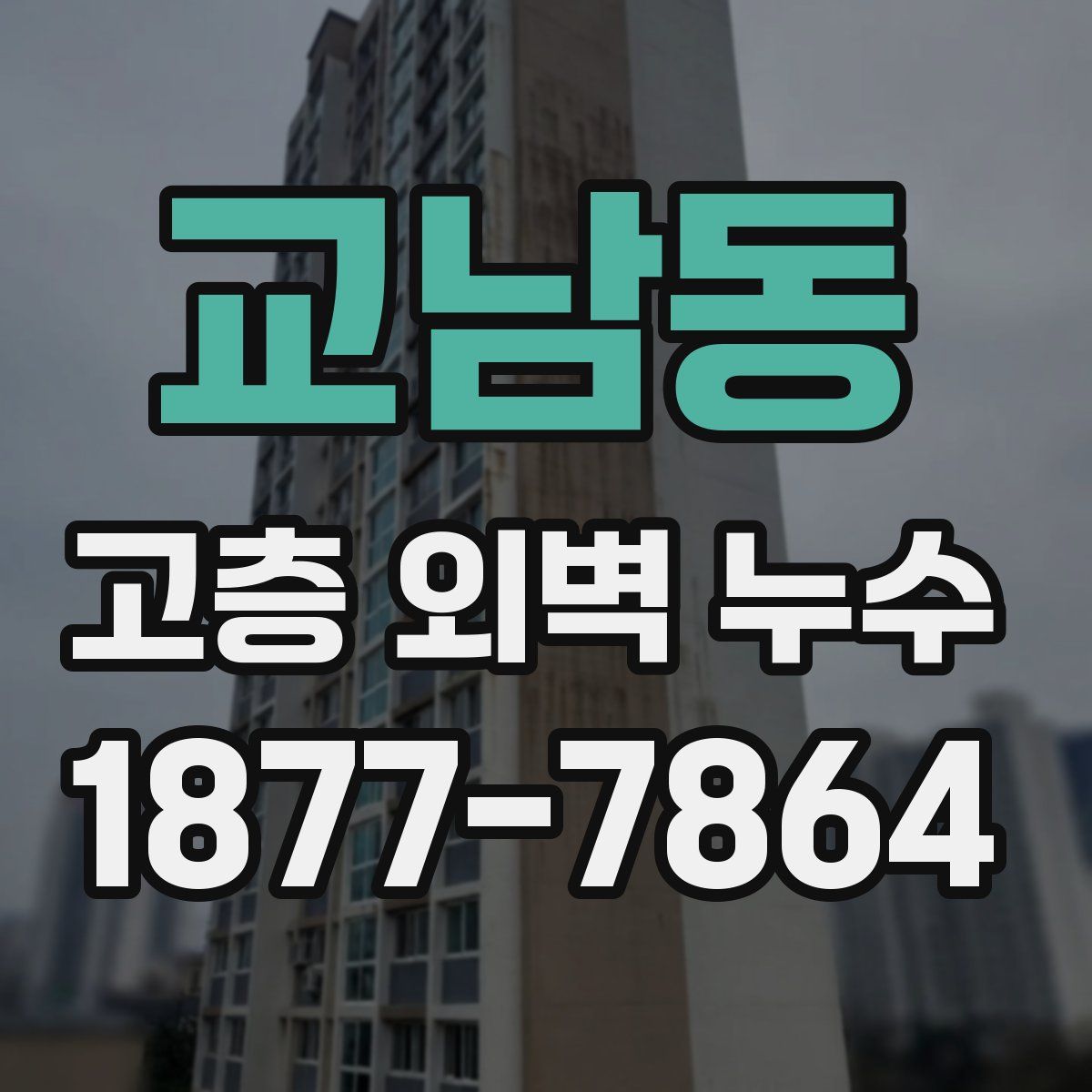 교남동 고층 외벽 누수