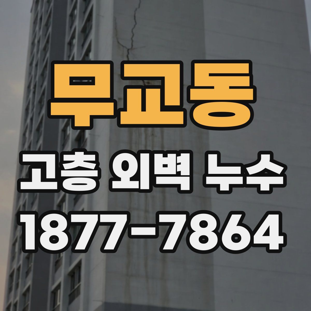 무교동 고층 외벽 누수