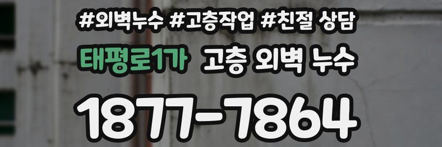 태평로1가 고층 외벽 누수