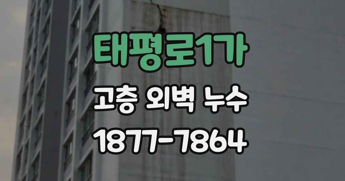 태평로1가 고층 외벽 누수