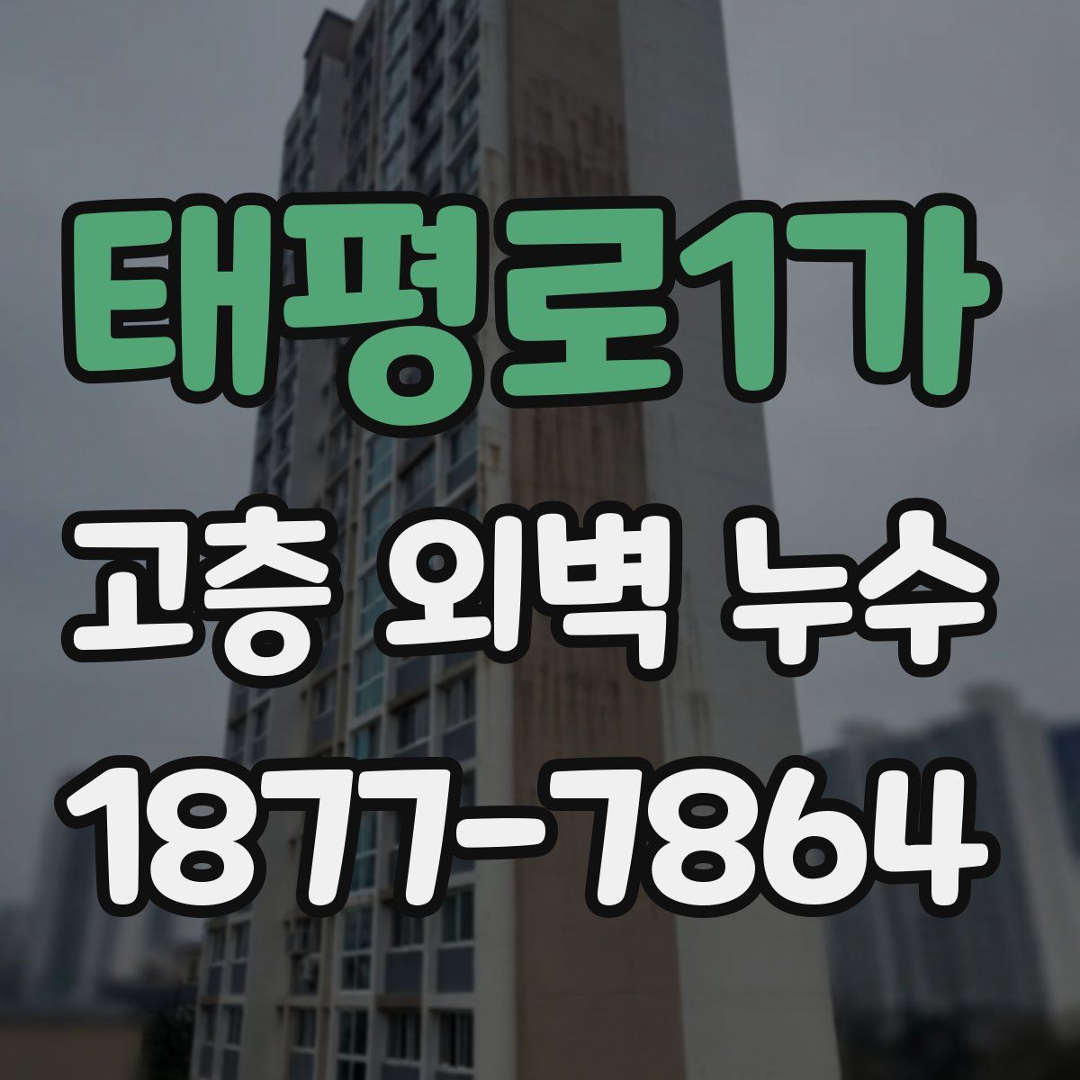 태평로1가 고층 외벽 누수