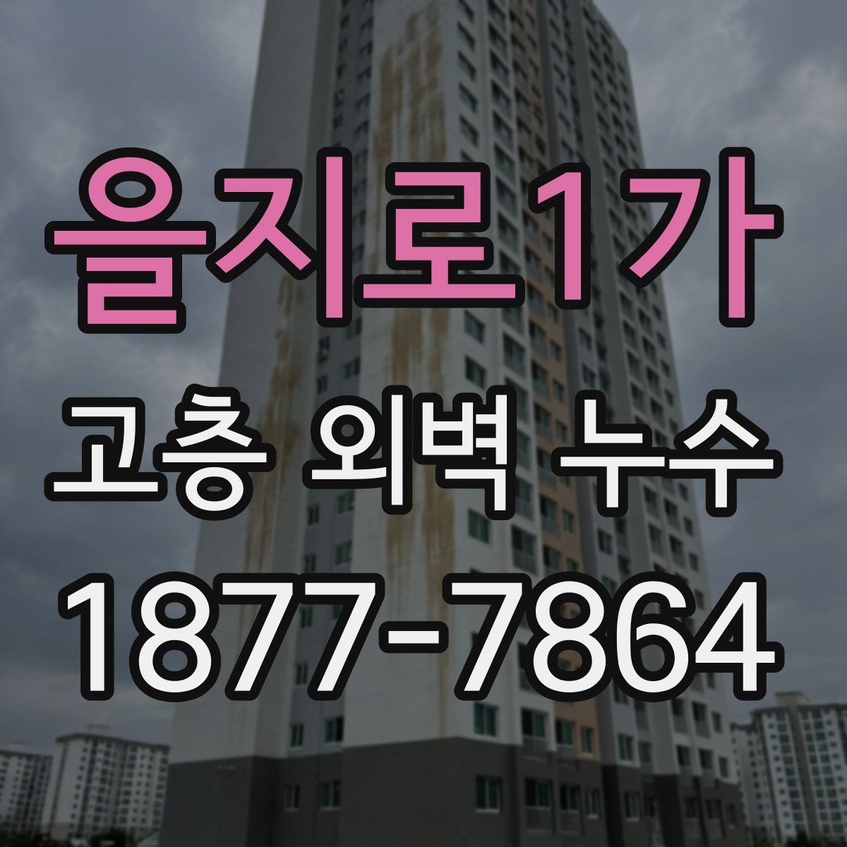 을지로1가 고층 외벽 누수