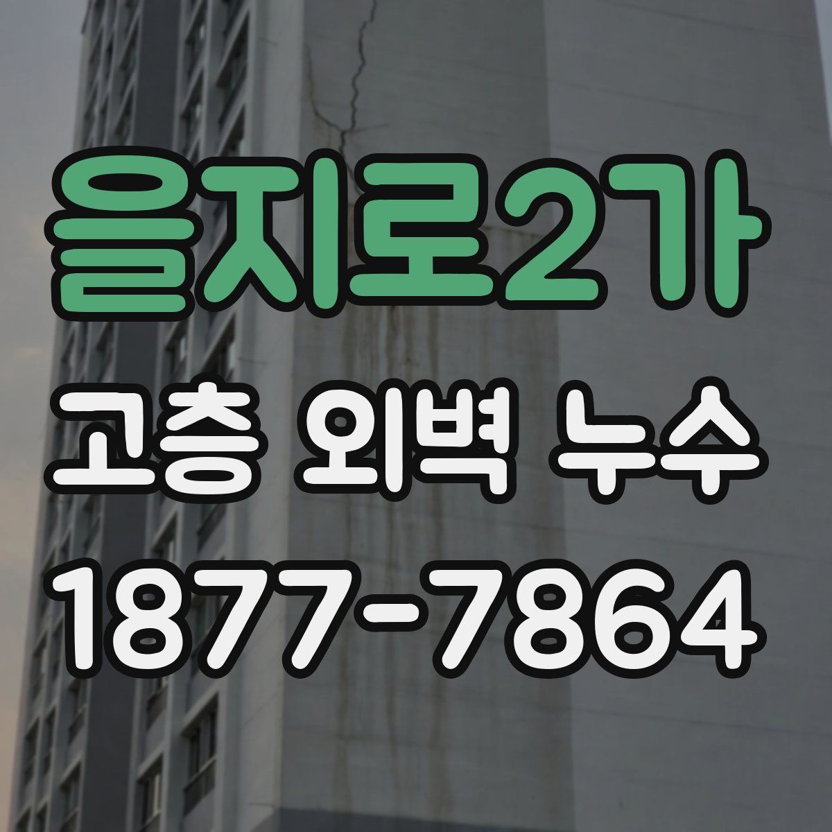 을지로2가 고층 외벽 누수