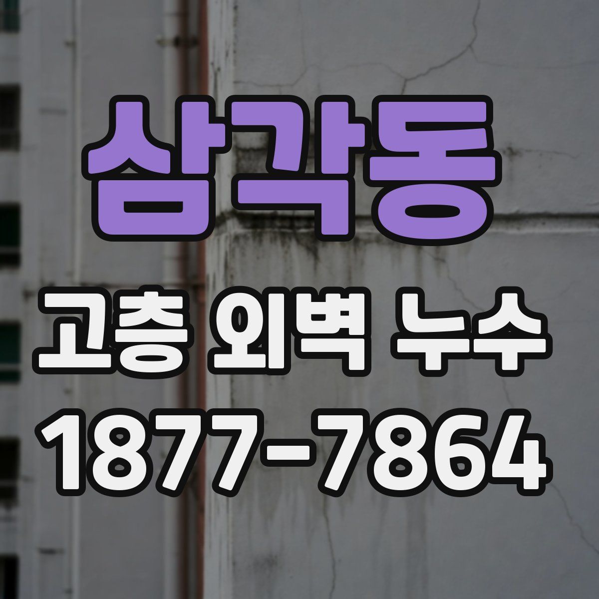 삼각동 고층 외벽 누수