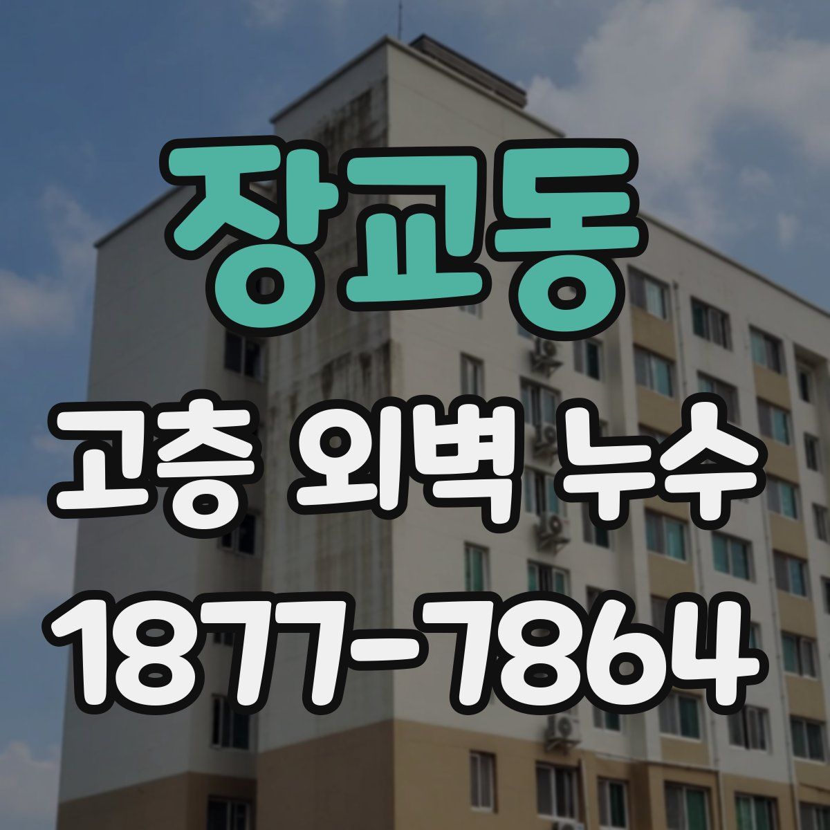 장교동 고층 외벽 누수