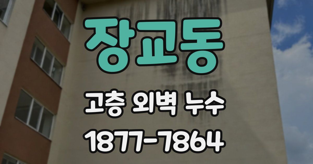 장교동 고층 외벽 누수