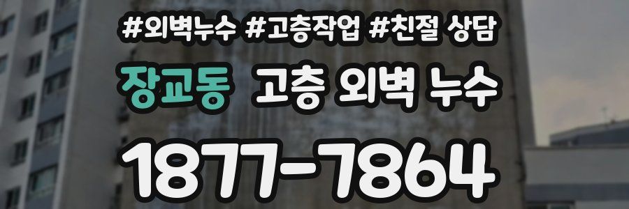 장교동 고층 외벽 누수
