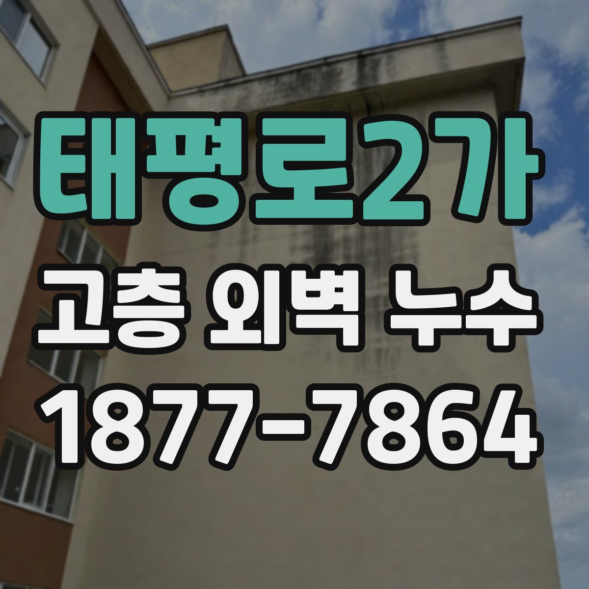 태평로2가 고층 외벽 누수