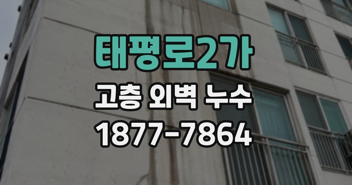 태평로2가 고층 외벽 누수