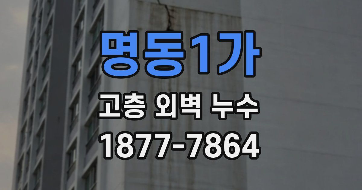 명동1가 고층 외벽 누수