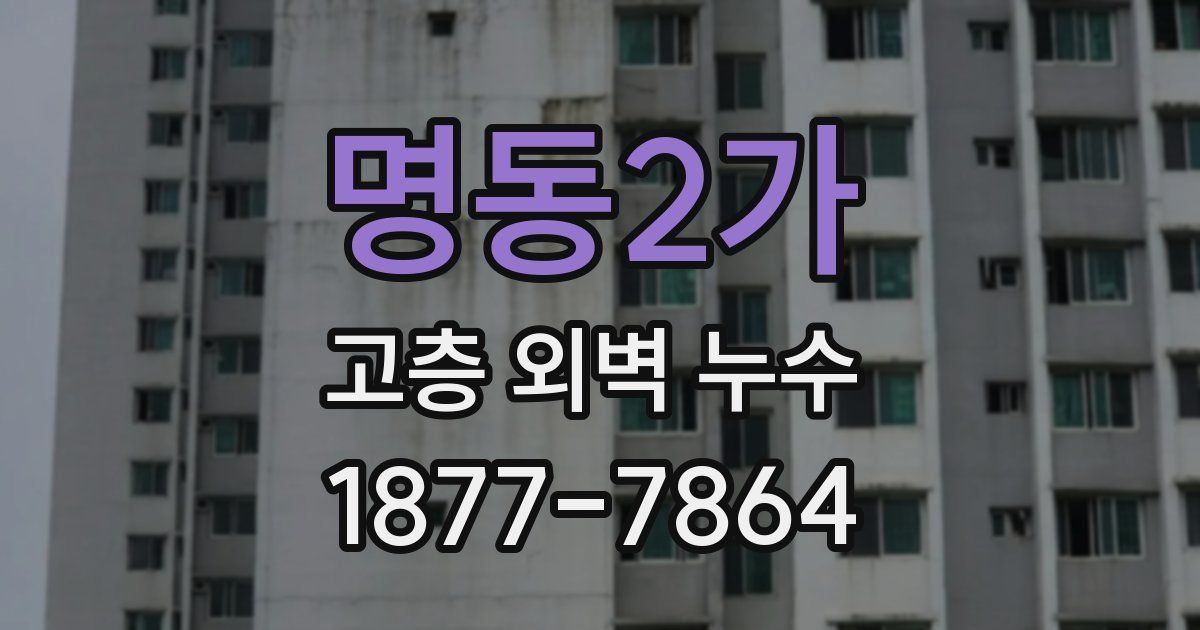 명동2가 고층 외벽 누수