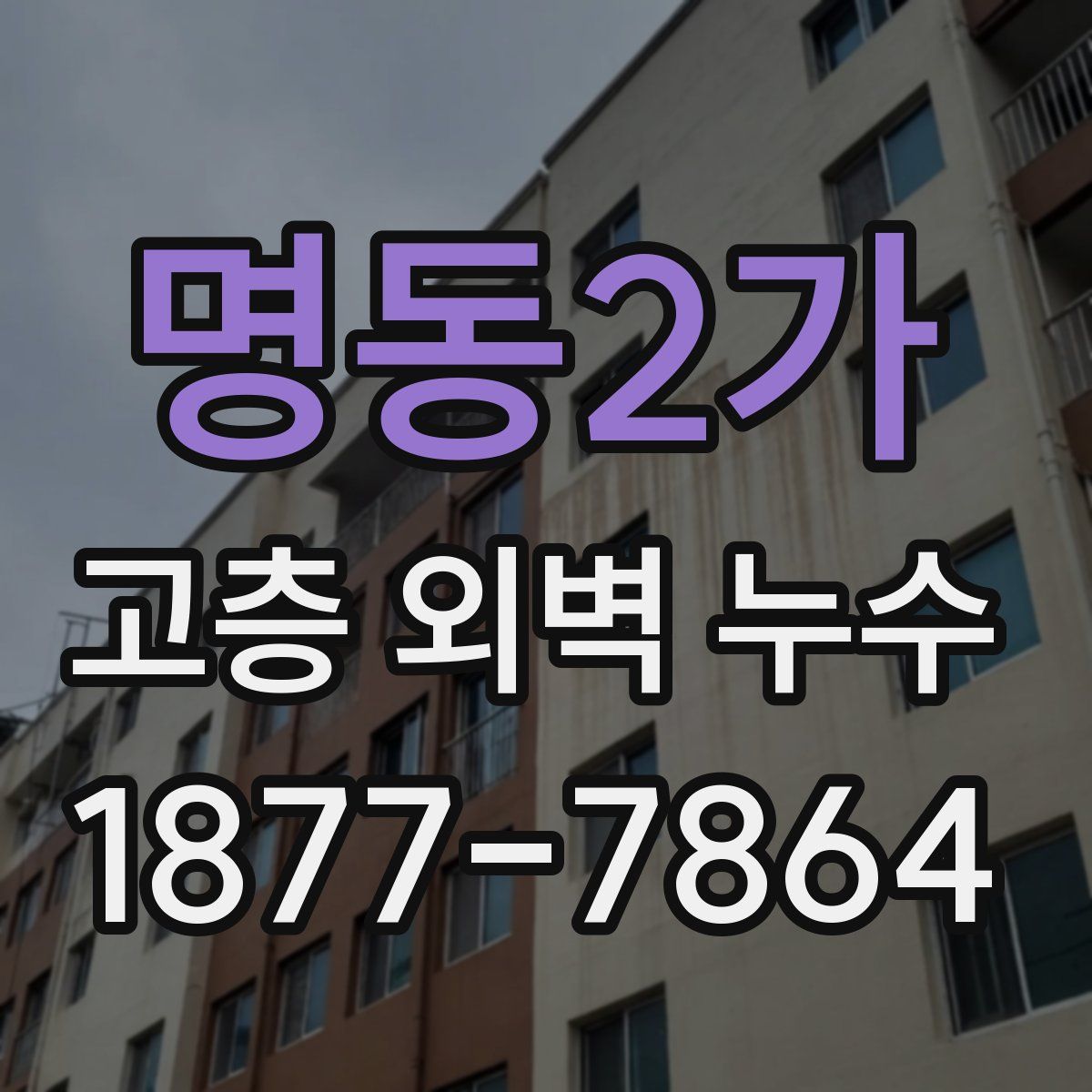 명동2가 고층 외벽 누수