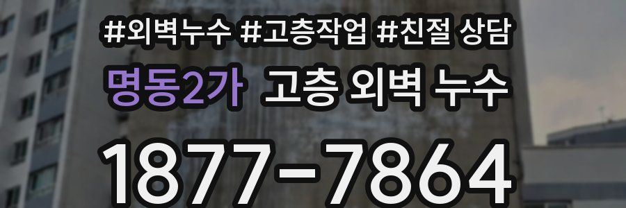 명동2가 고층 외벽 누수