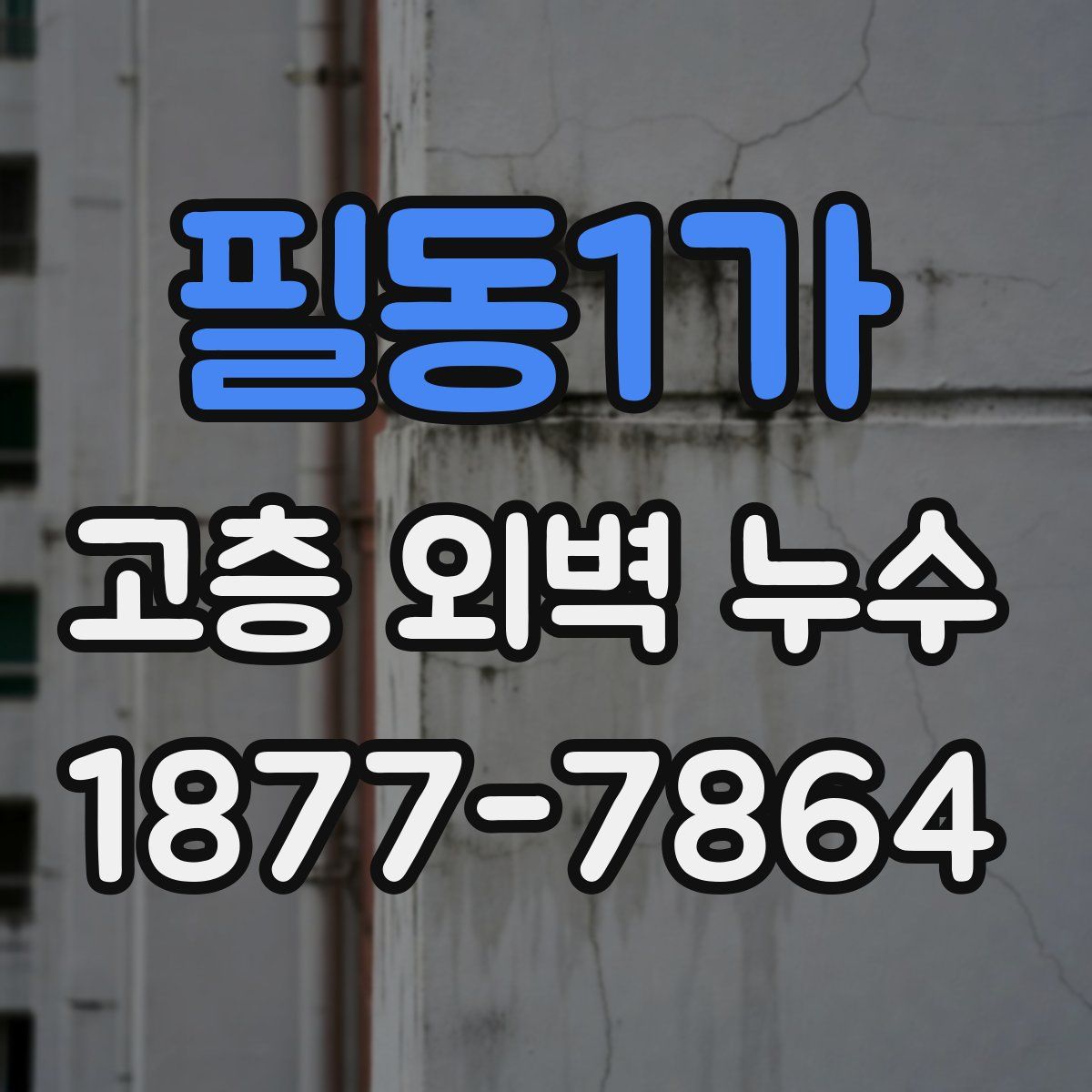 필동1가 고층 외벽 누수