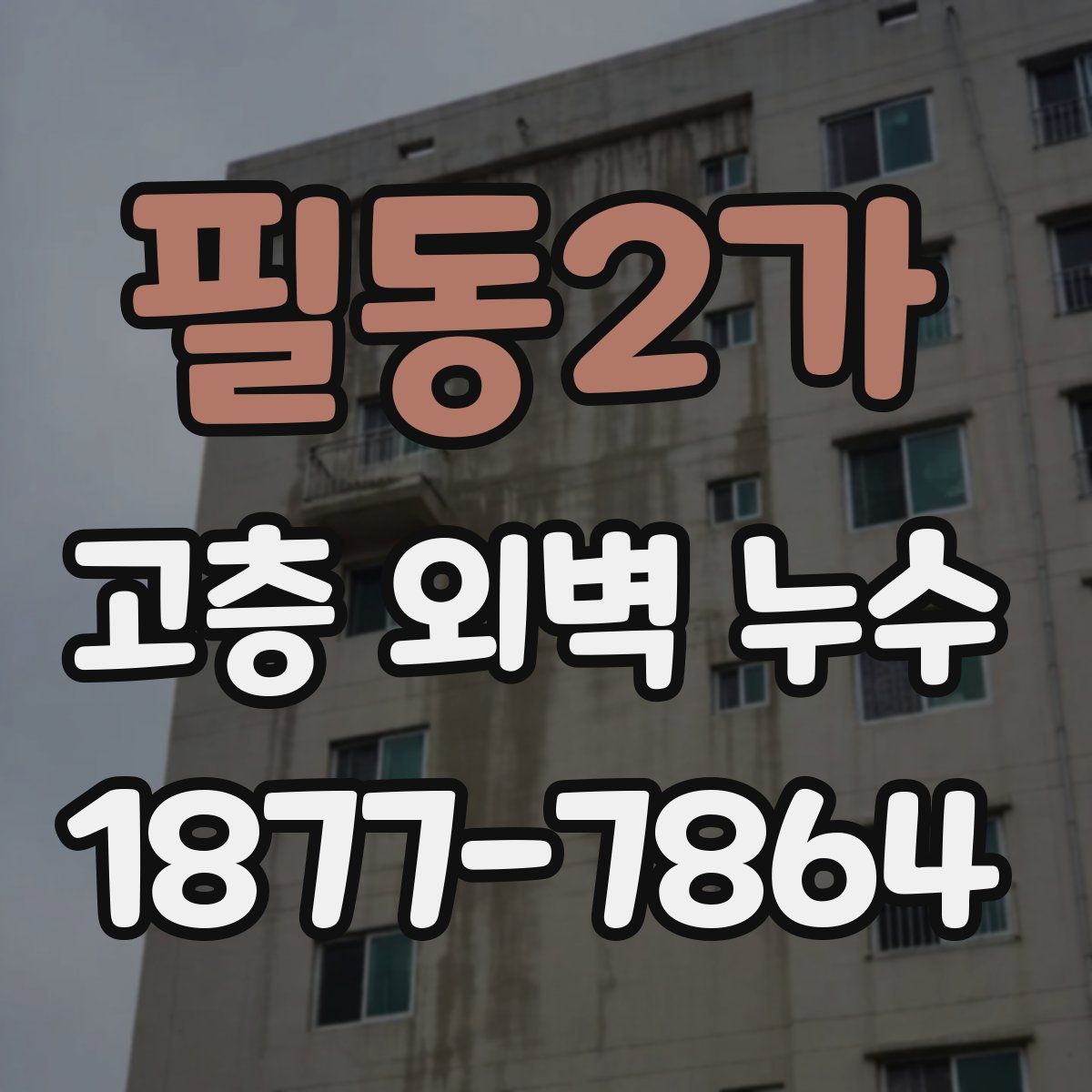 필동2가 고층 외벽 누수