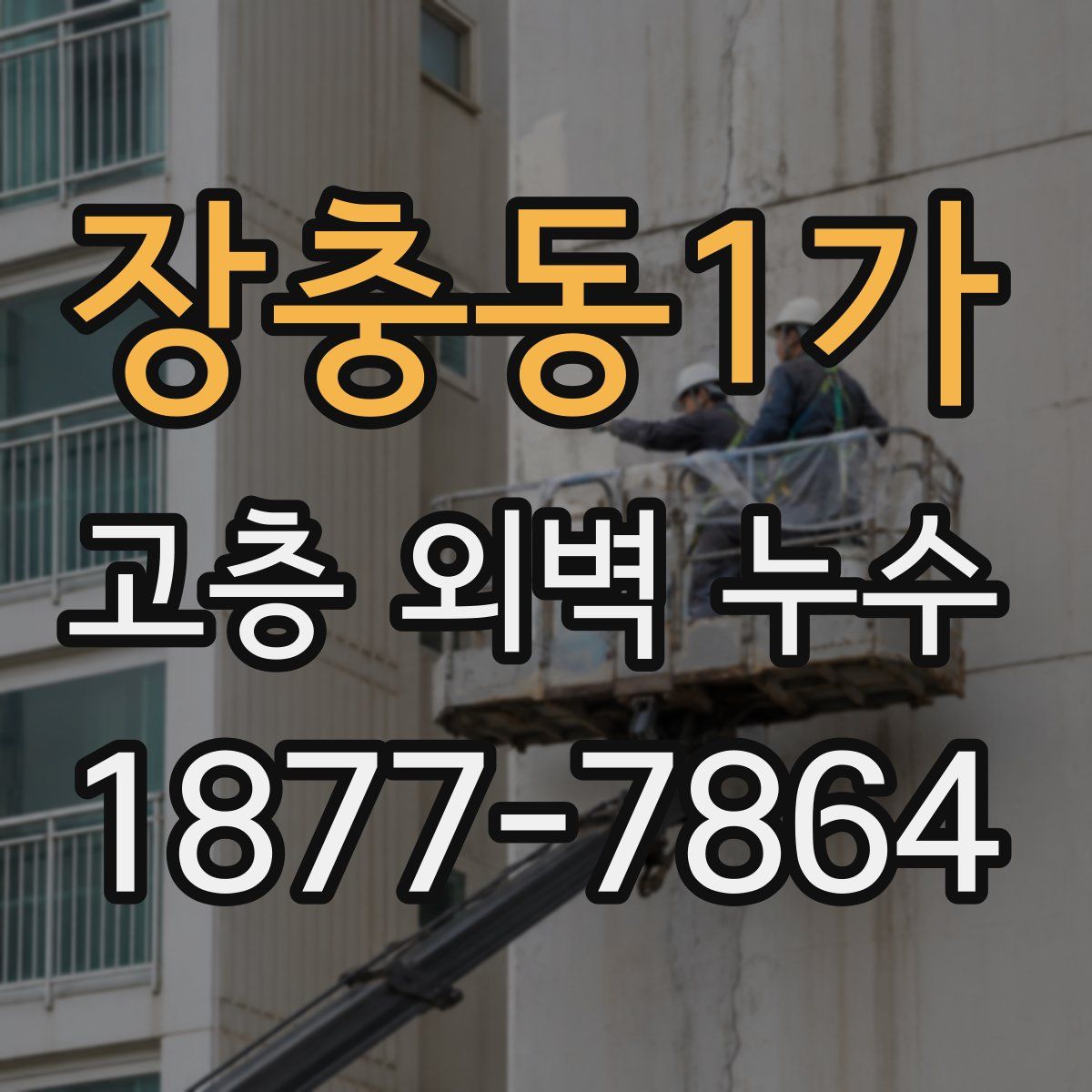 장충동1가 고층 외벽 누수